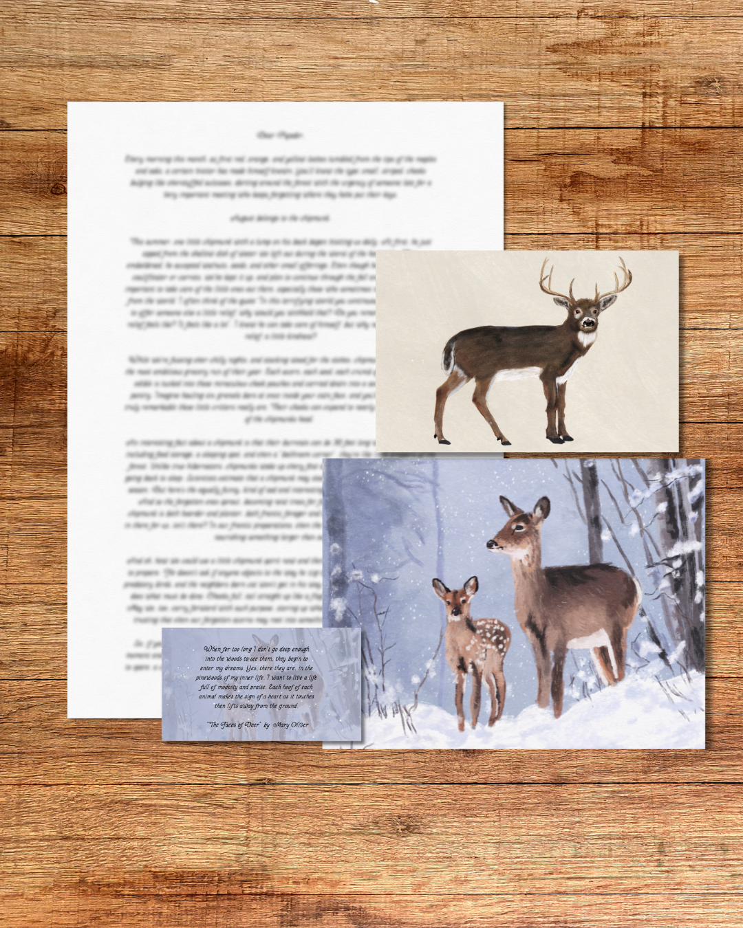 Monthly Mail Club - Canada