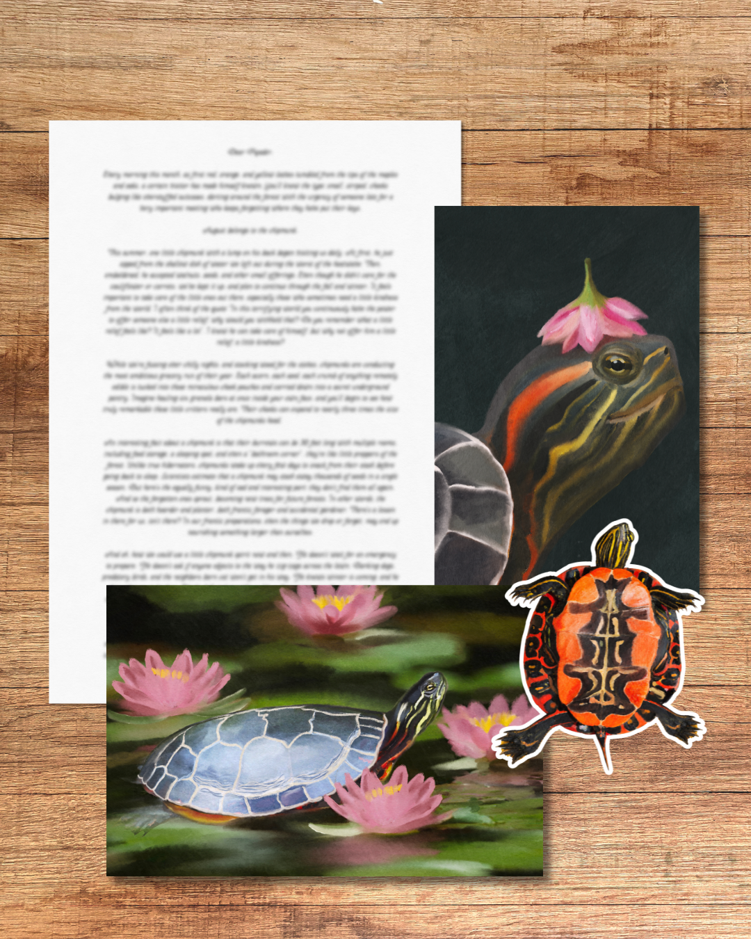 June edition - The Painted Turtle