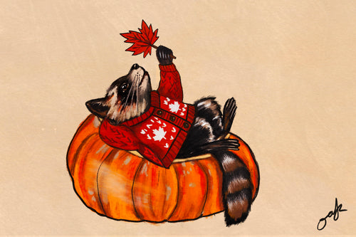 Cozy Racoon in a Pumpkin - 4x6 Art Print