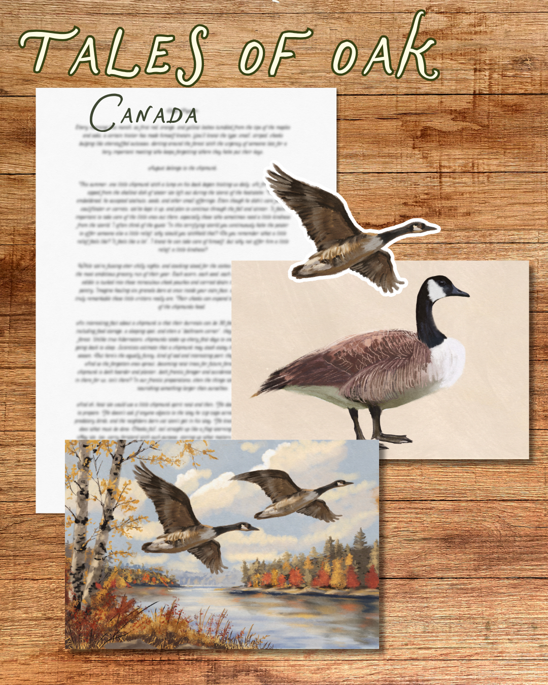 Monthly Mail Club - Canada
