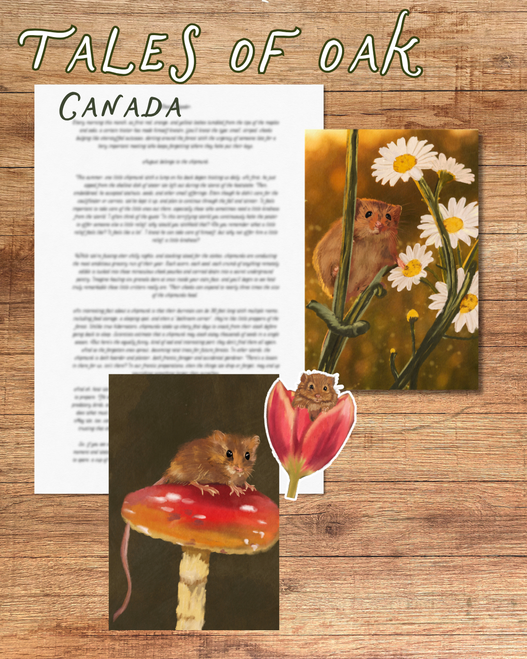 Monthly Mail Club - Canada