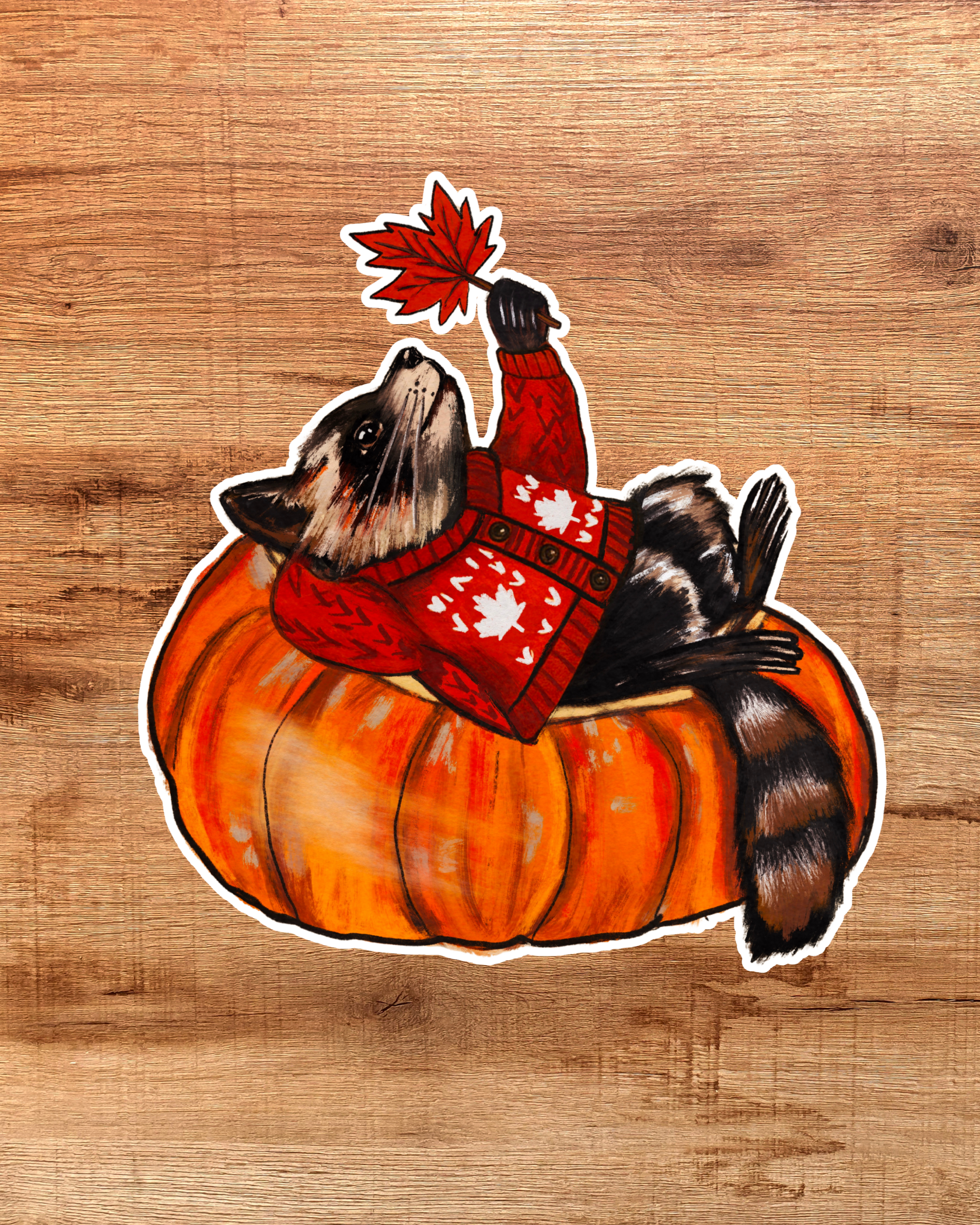 Cozy Racoon on a Pumpkin Sticker