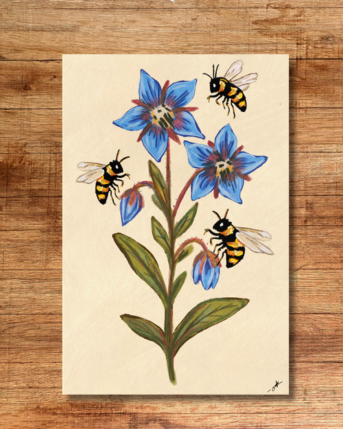 Bees & Borage - 4x6 Art Print